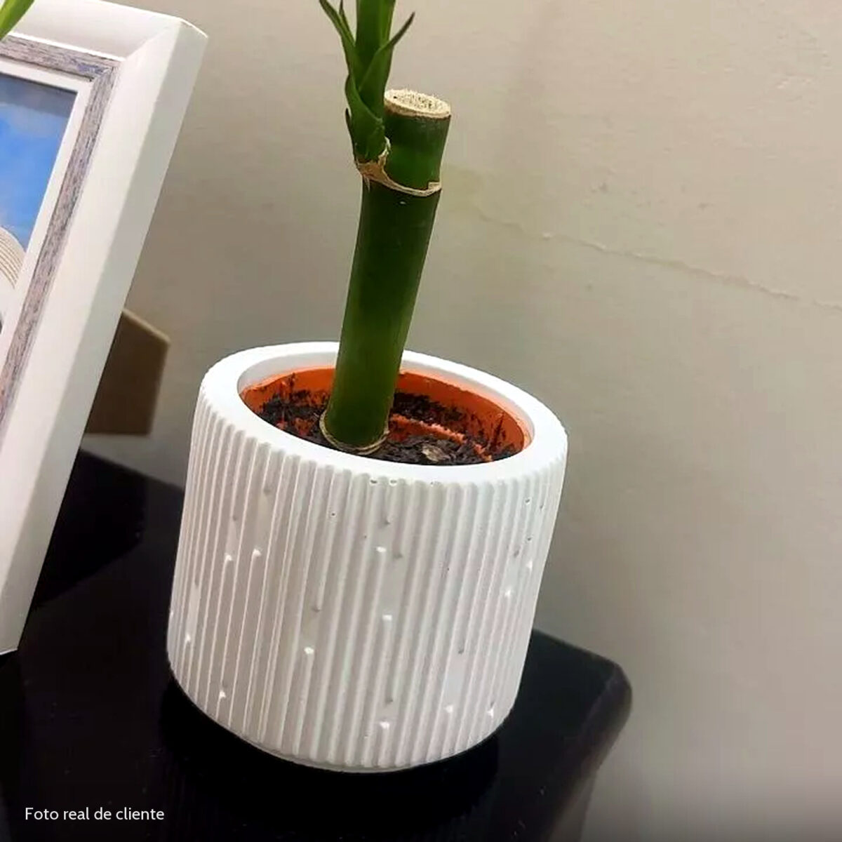 Foto real de cliente: Vaso Decorativo Contemporâneo 7cm Em Cimento Artesanal