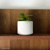 Vaso Decorativo Contemporâneo 7cm Em Cimento Artesanal, foto real de cliente