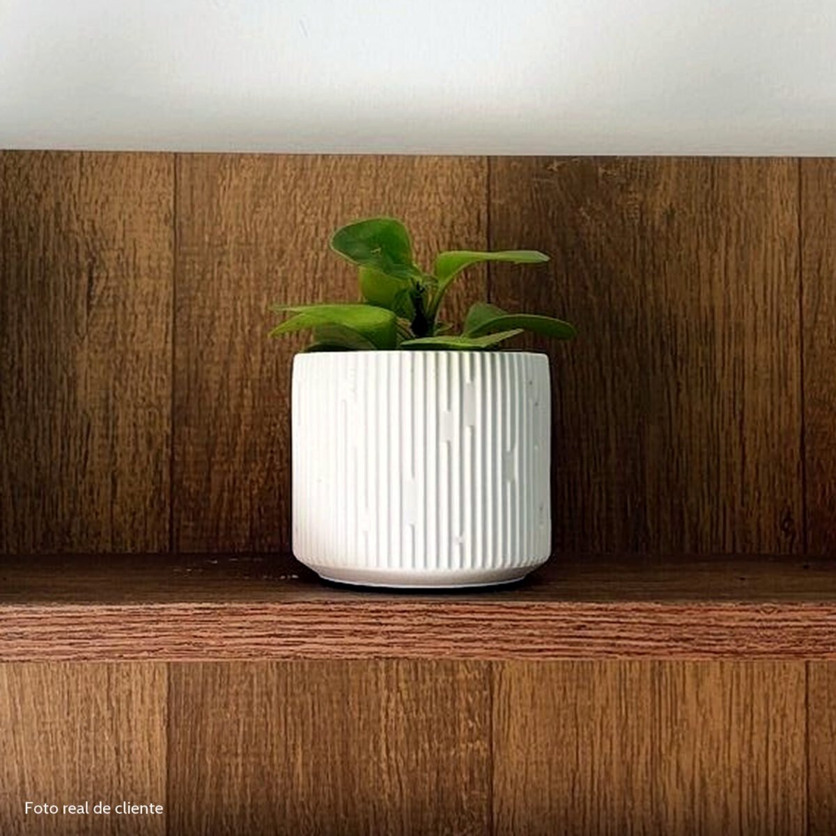 Vaso Decorativo Contemporâneo 7cm Em Cimento Artesanal, foto real de cliente