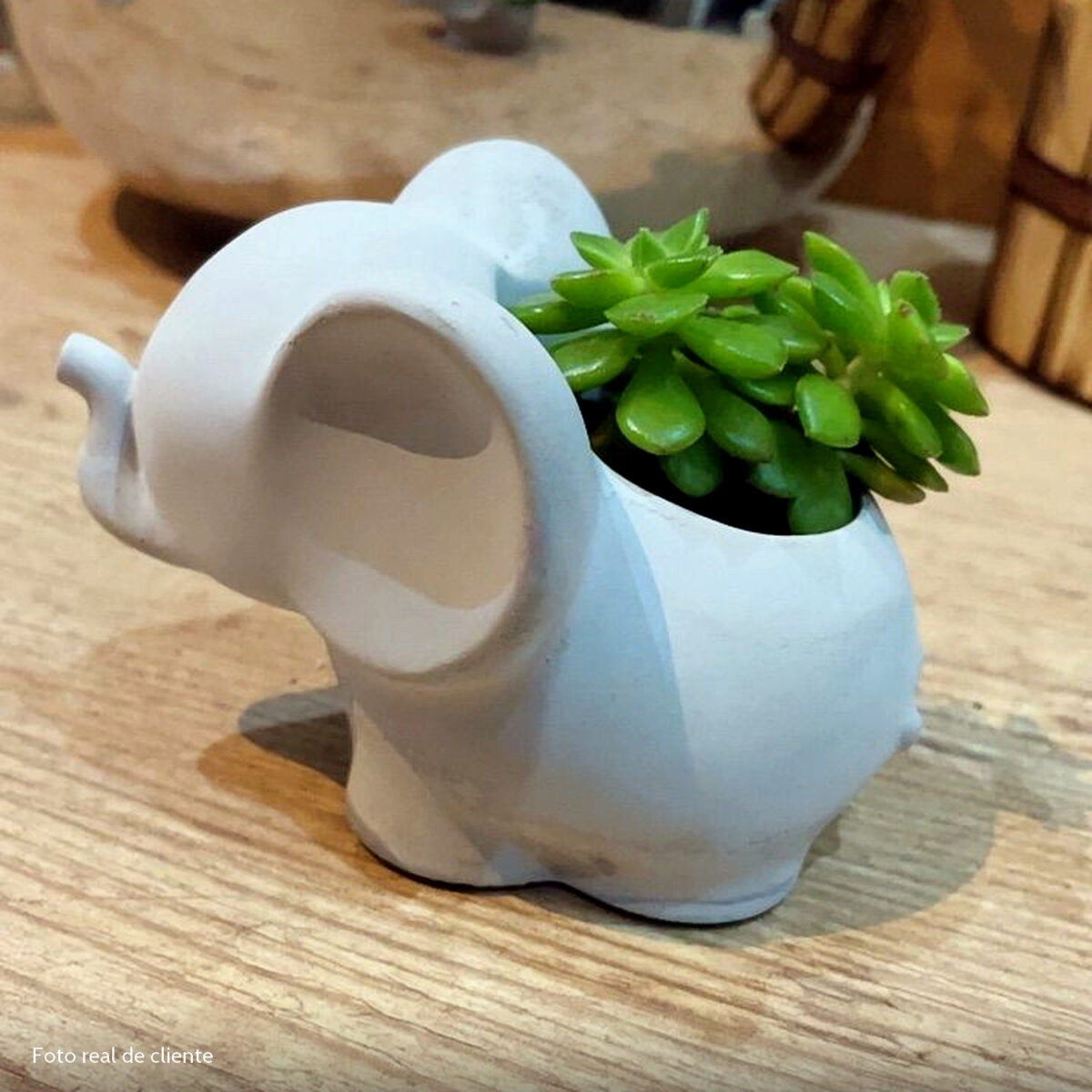 Foto real de cliente: Vaso Decorativo Elefante 12cm Cimento Artesanal