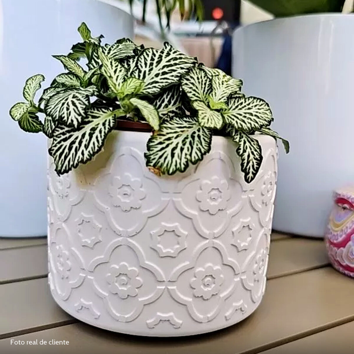 Foto real de cliente: Vaso Estados Artesanal Decor 10cm Rio de Janeiro em Cimento