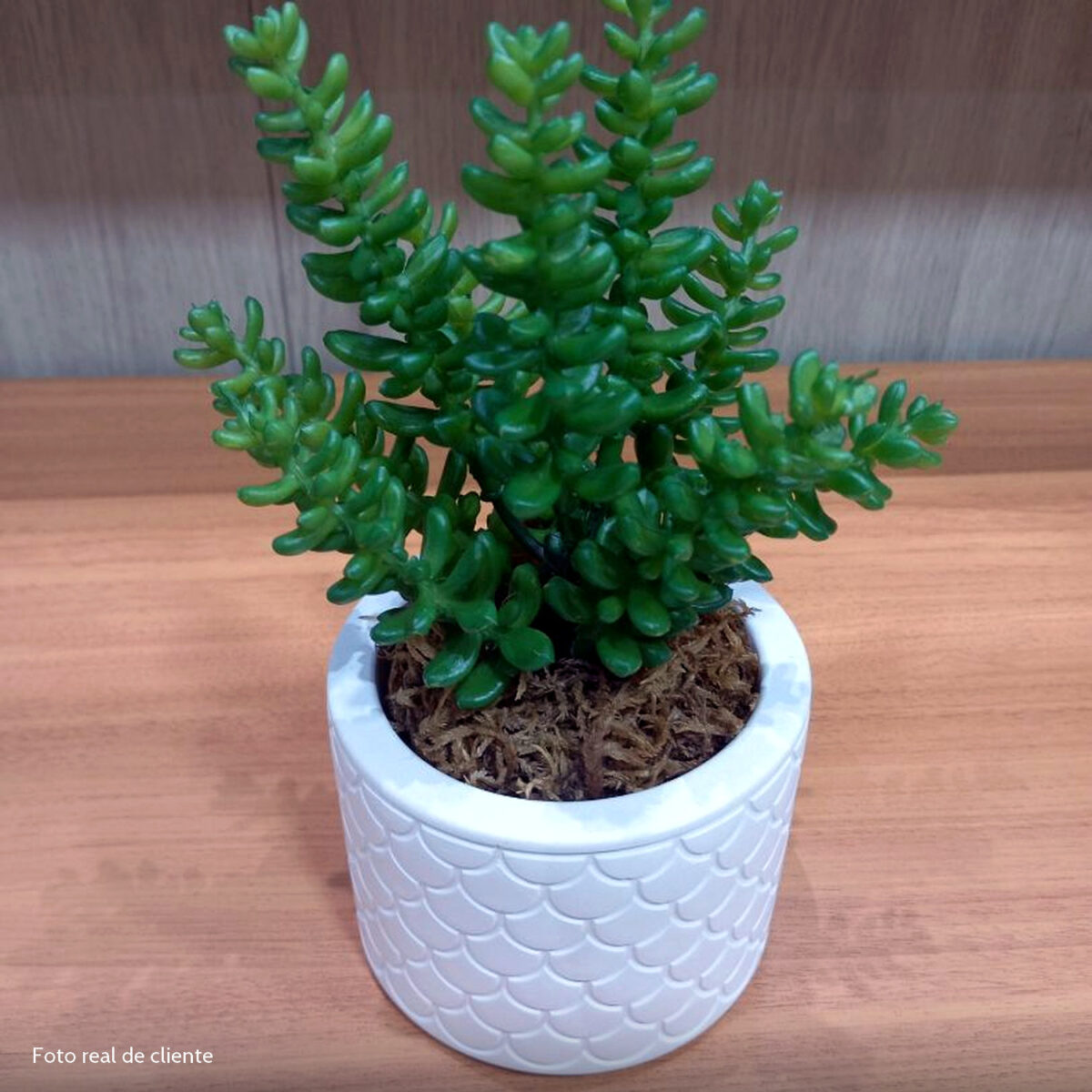 Foto real de cliente: Vaso Estados Artesanal Decorativo 10cm São Paulo em Cimento