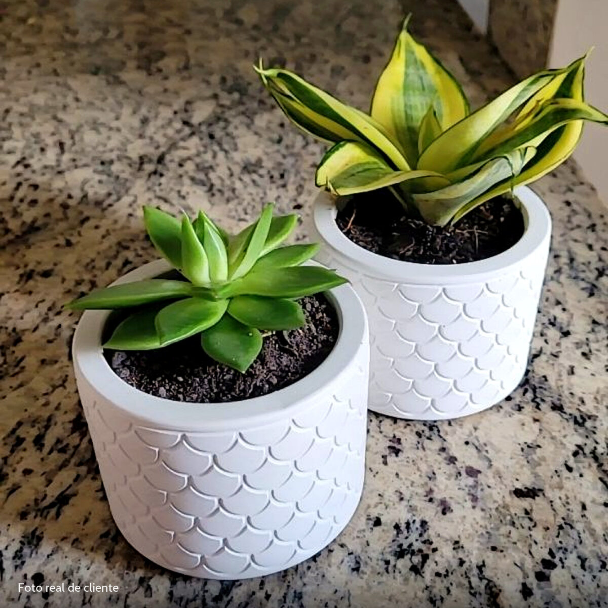 Foto real de cliente: Vaso Estados Artesanal Decorativo 10cm São Paulo em Cimento
