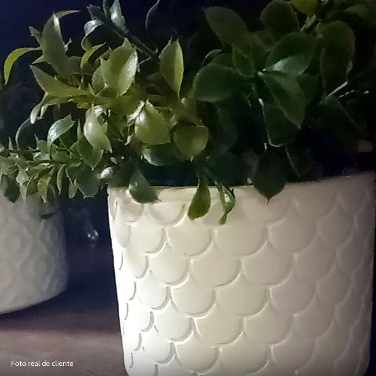 Foto real de cliente: Vaso Estados Artesanal Decorativo 10cm São Paulo em Cimento