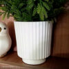 Foto real de cliente: Vaso Decorativo Garrafa Grécia 9,5cm Cimento Artesanal