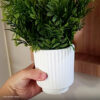 Foto real de cliente: Vaso Decorativo Garrafa Grécia 9,5cm Cimento Artesanal