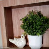 Foto real de cliente: Vaso Decorativo Garrafa Grécia 9,5cm Cimento Artesanal