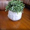Foto real de cliente: Vaso Decorativo Tarsila 10cm Artesanal Em Cimento
