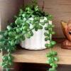 Foto real de cliente: Vaso Decorativo Tulipa 8cm Artesanal em Cimento