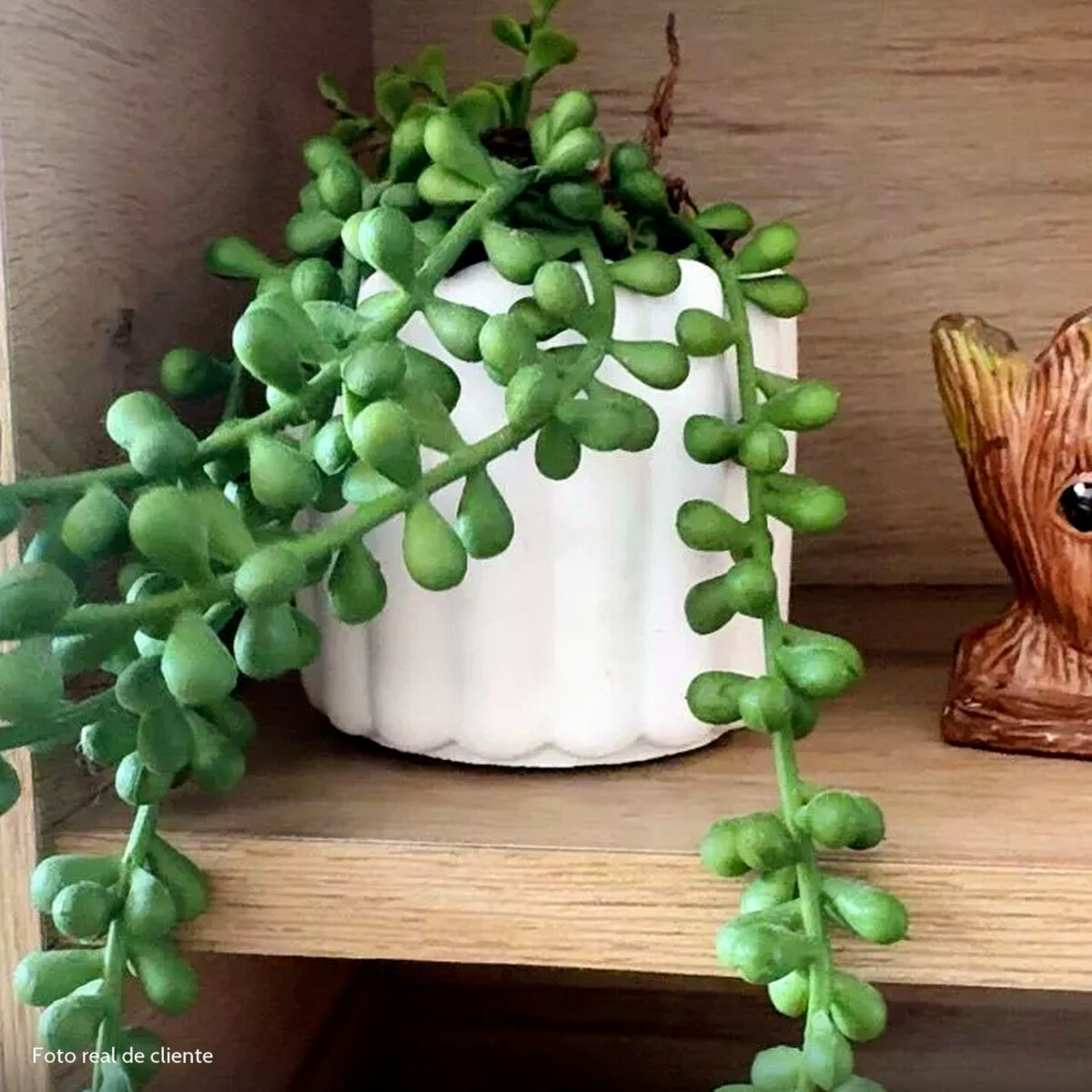 Foto real de cliente: Vaso Decorativo Tulipa 8cm Artesanal em Cimento