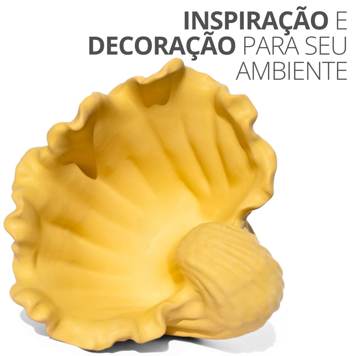 Porta Objetos Concha Pérola Grande Artesanal 13,5x6,5x13cm Em Resina Mineral
