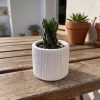Vaso Decorativo Contemporâneo 7cm Em Cimento Artesanal