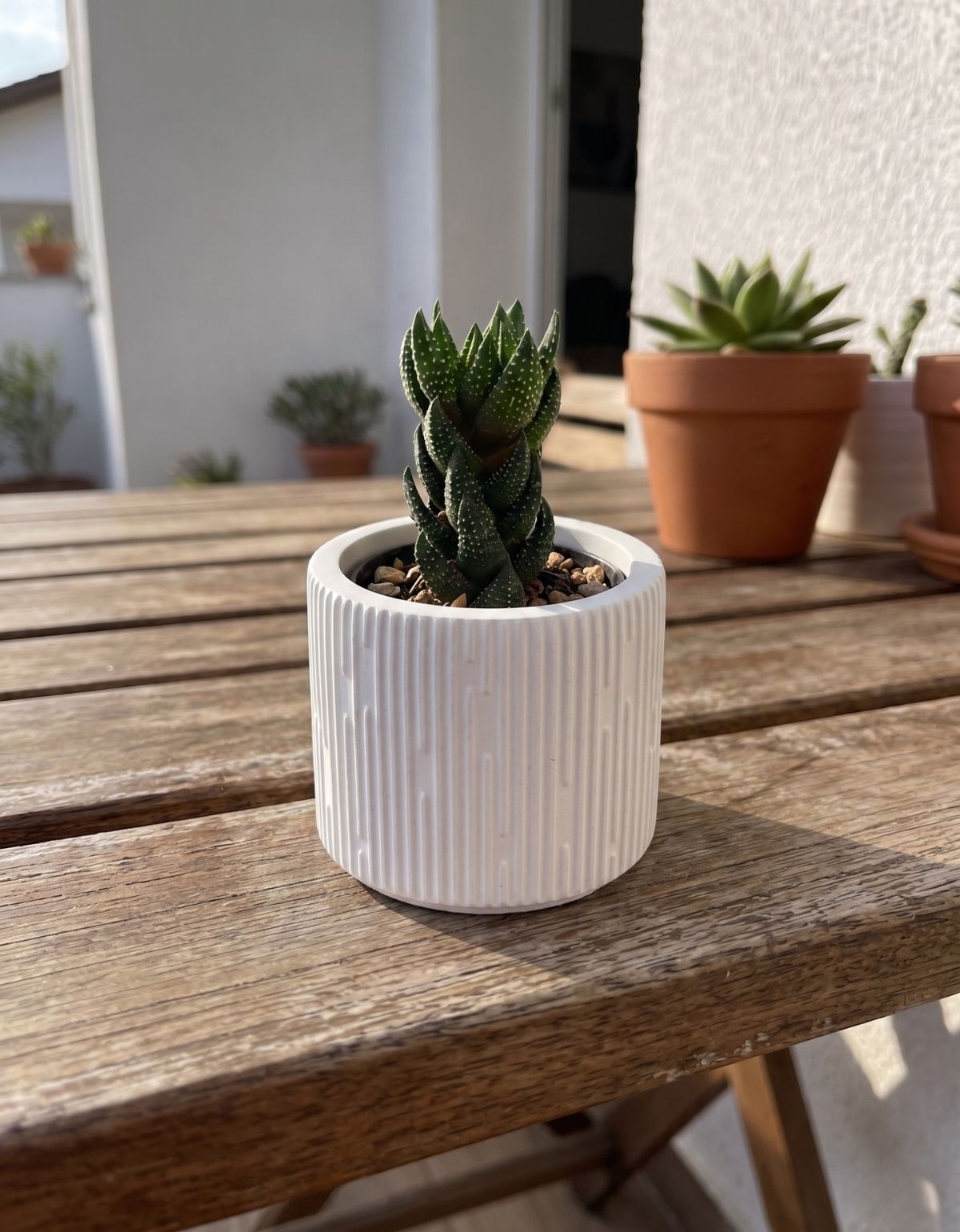Vaso Decorativo Contemporâneo 7cm Em Cimento Artesanal