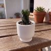 Vaso Decorativo Garrafa Invertida Lisa 8cm Cimento Artesanal
