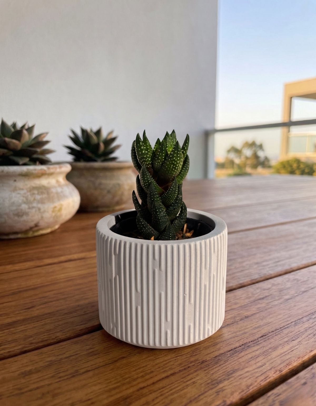 Vaso Decorativo Contemporâneo 7cm Em Cimento Artesanal