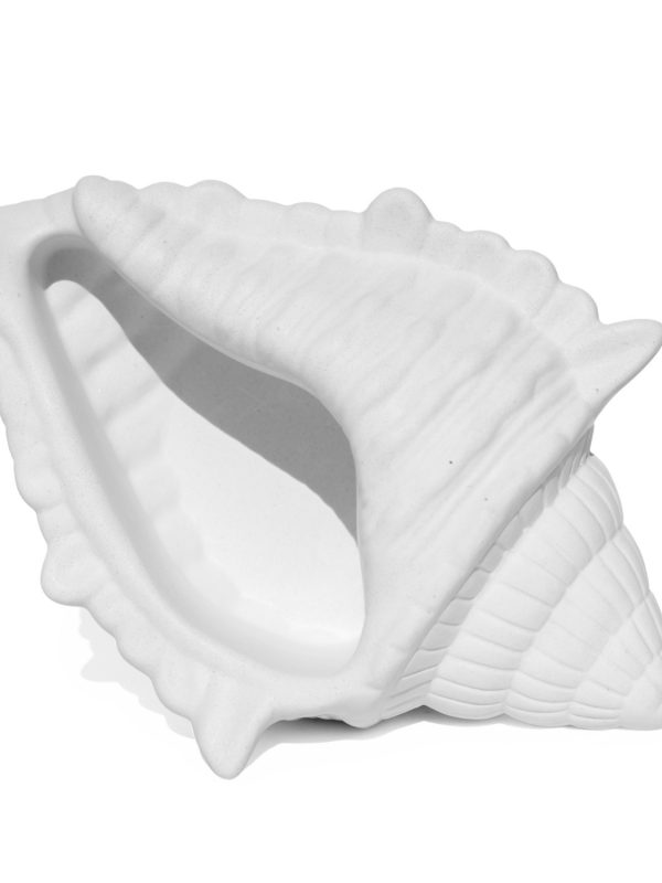 Porta Objetos Concha Oceano Grande Artesanal 17x11,5cm Em Resina Mineral