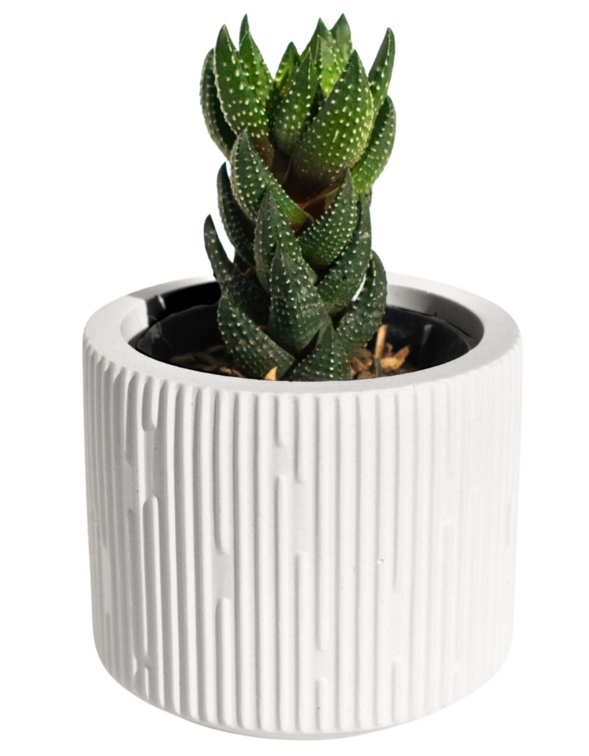 Vaso Decorativo Contemporâneo 7cm Em Cimento Artesanal