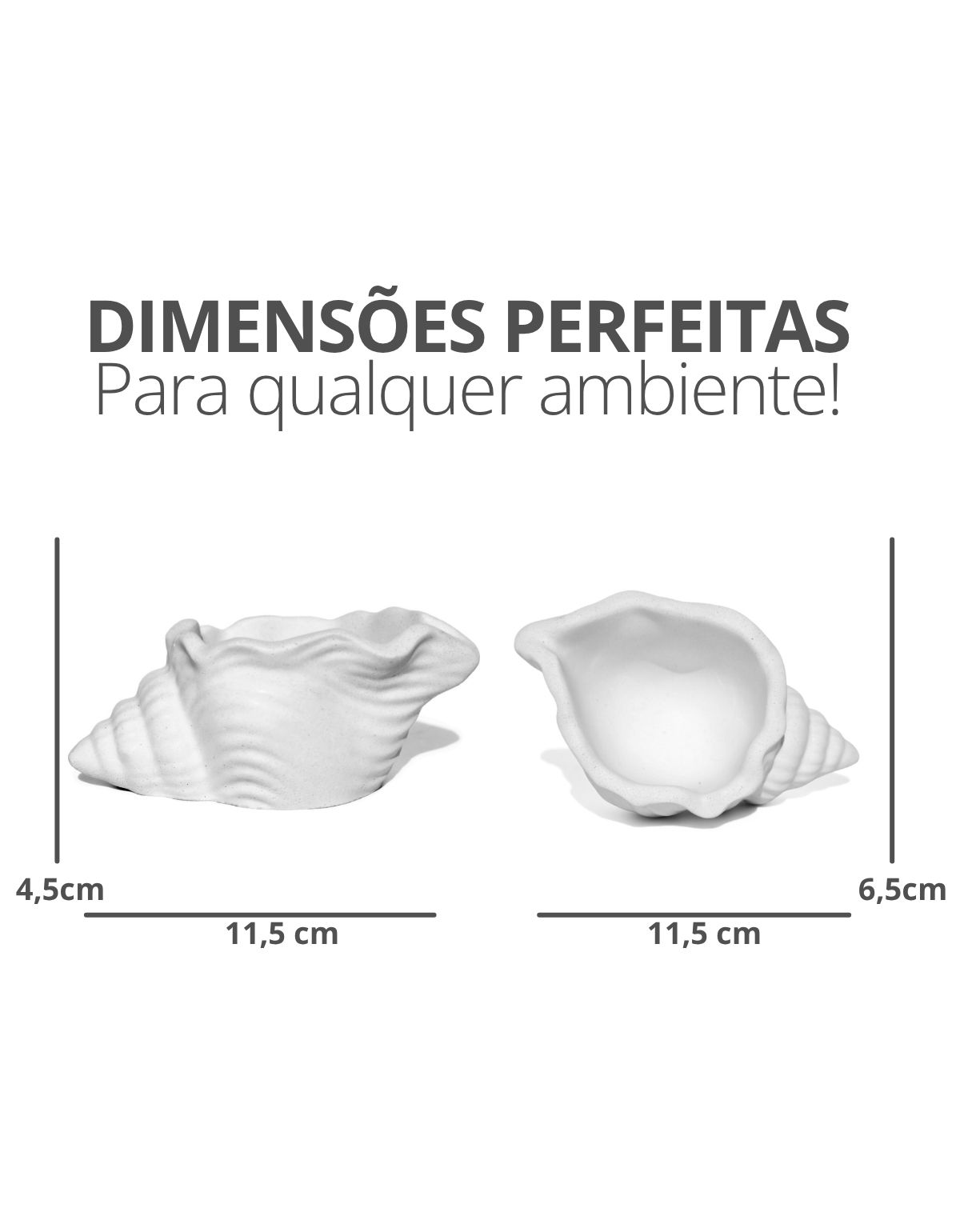 Porta Objetos Artesanal Concha Listras 11,5x7,5cm Em Resina Mineral