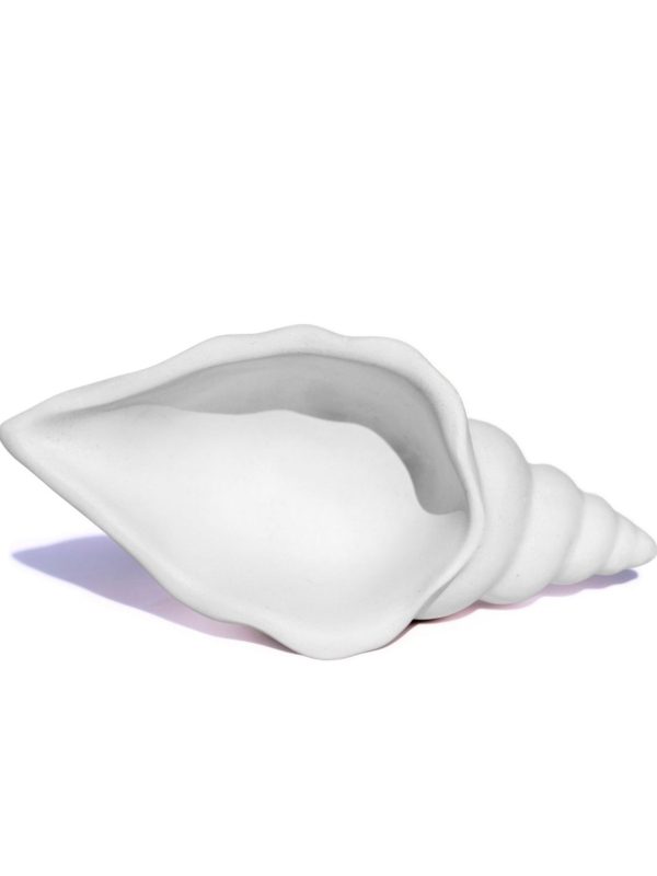 Porta Objetos Artesanal Concha Liso 13cm Em Resina Mineral
