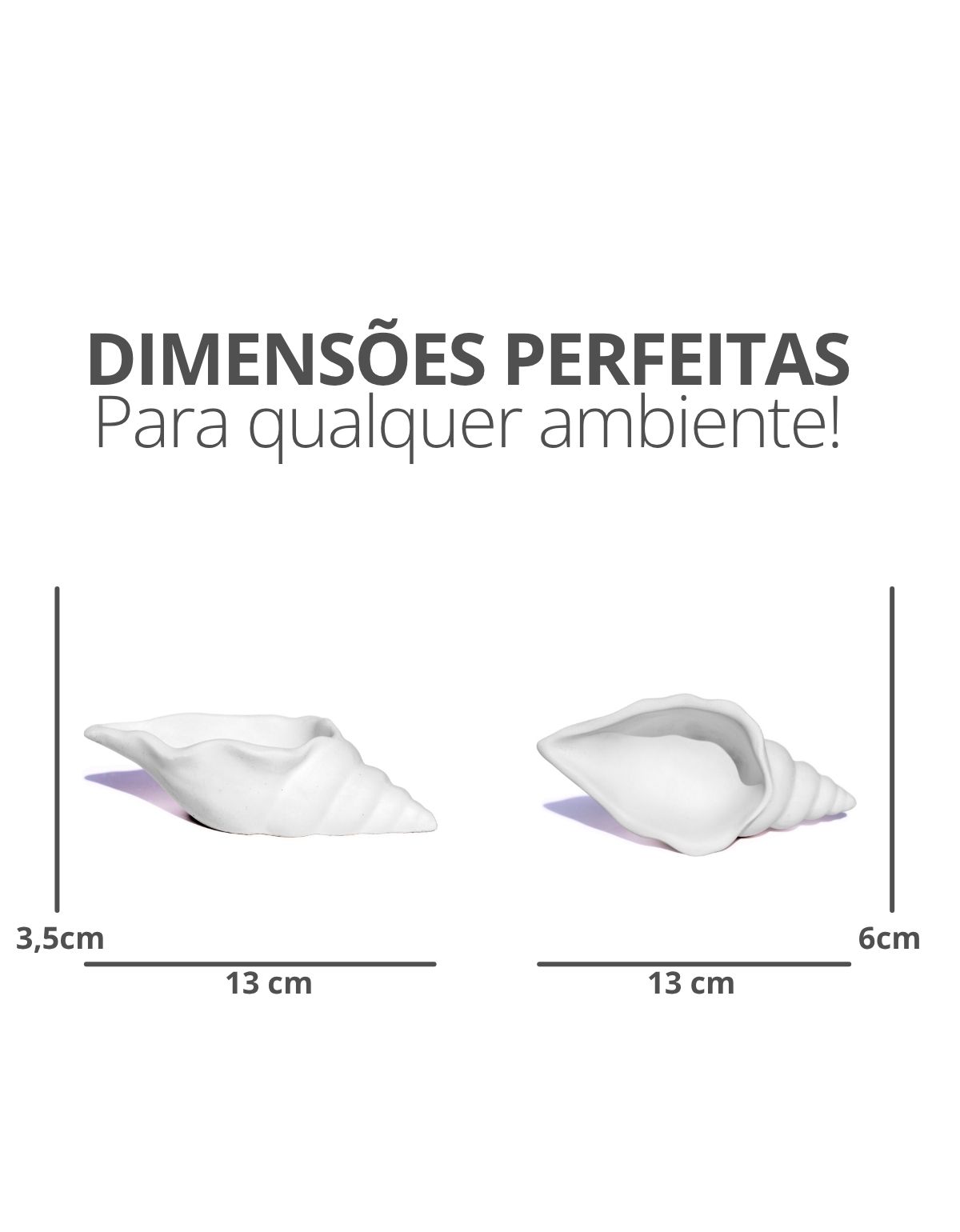Porta Objetos Artesanal Concha Liso 13cm Em Resina Mineral