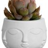 Vaso Decorativo Artesanal Tarsila Site ALETA 1Oval Premium 18cm Site ALETA 1 Vaso Decorativo Tarsila 10cm Artesanal Em Cimento