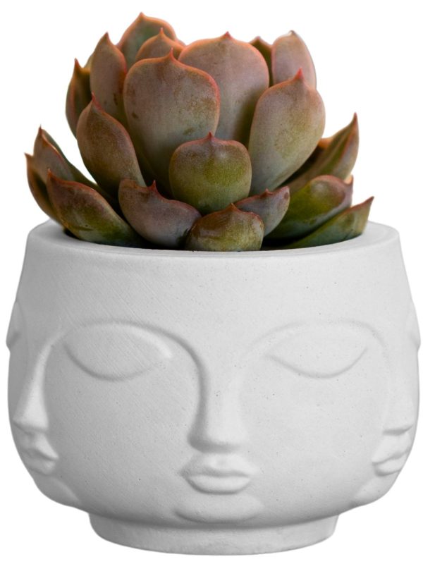 Vaso Decorativo Tarsila 10cm Artesanal Em Cimento
