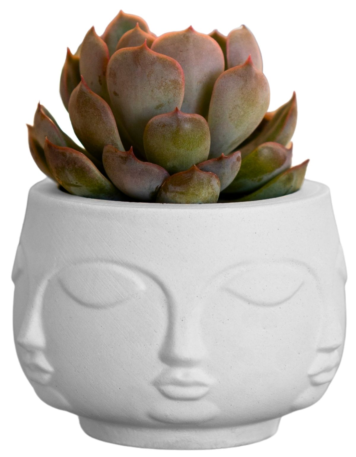 Vaso Decorativo Artesanal Tarsila Site ALETA 1Oval Premium 18cm Site ALETA 1 Vaso Decorativo Tarsila 10cm Artesanal Em Cimento