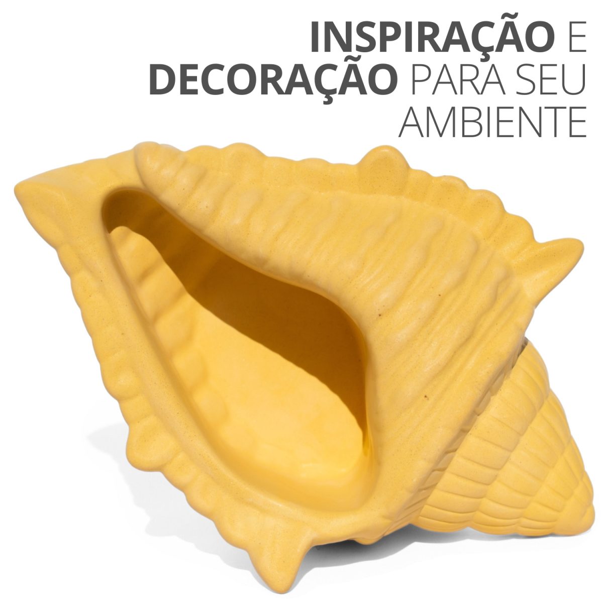 Porta Objetos Concha Oceano Grande Artesanal 17x11,5cm Em Resina Mineral