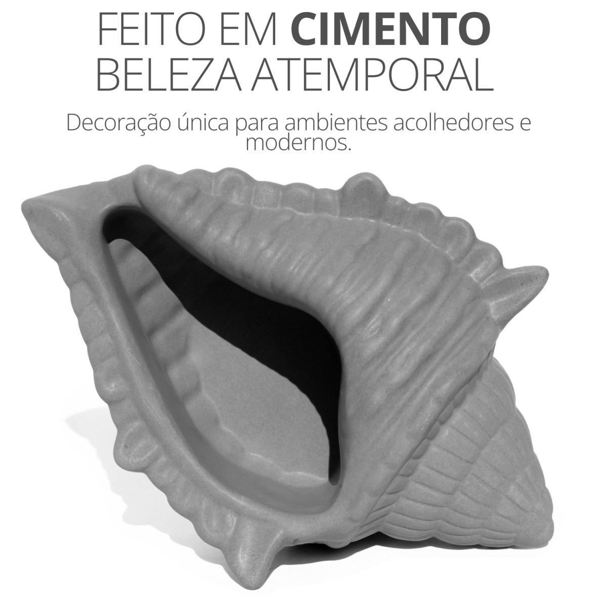 Porta Objetos Concha Oceano Grande Artesanal 17x11,5cm Em Resina Mineral
