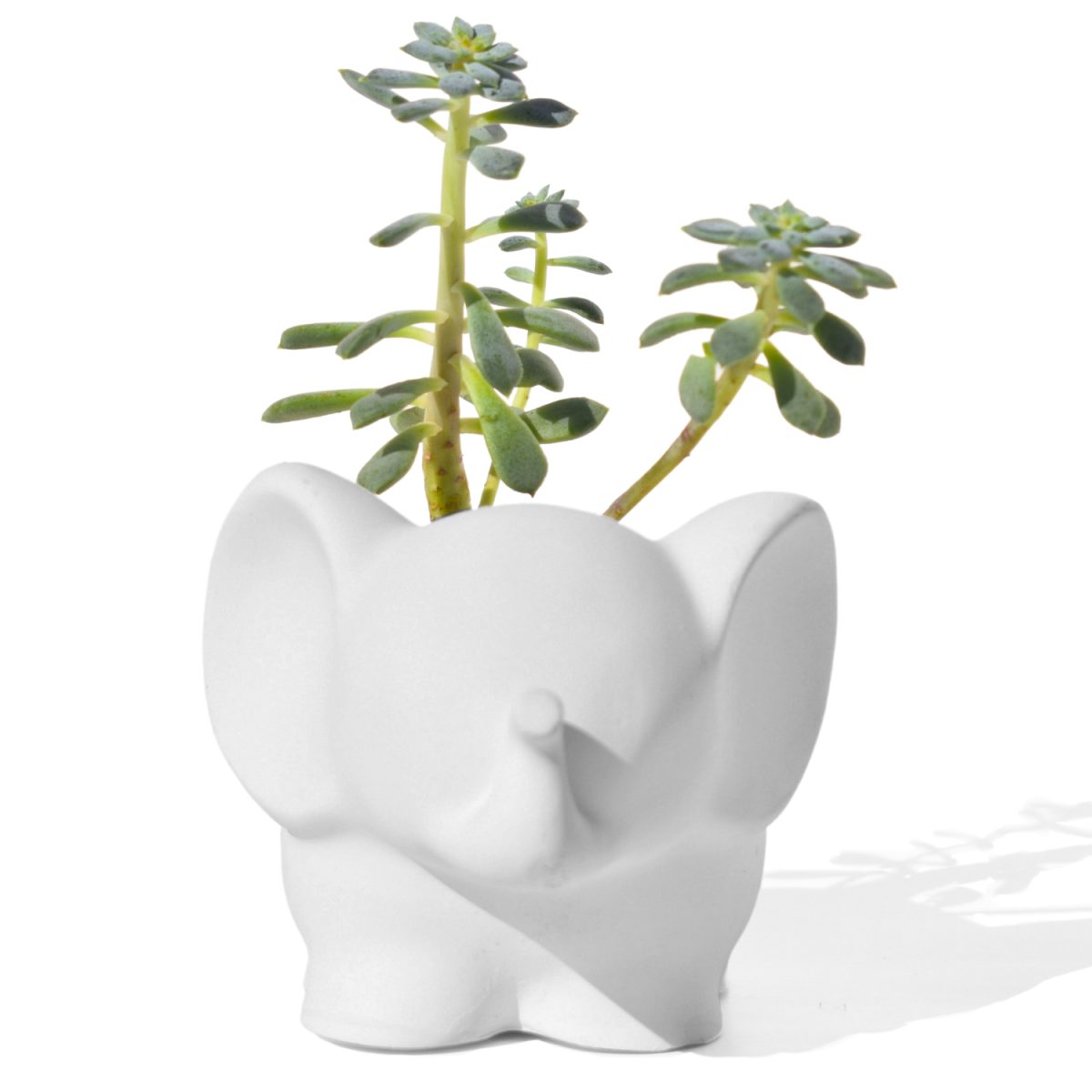 Vaso Decorativo Elefante 12cm Cimento Artesanal