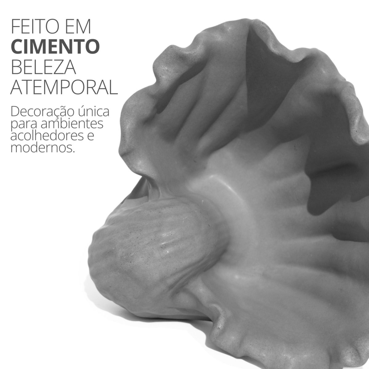 Porta Objetos Concha Pérola Grande Artesanal 13,5x6,5x13cm Em Resina Mineral