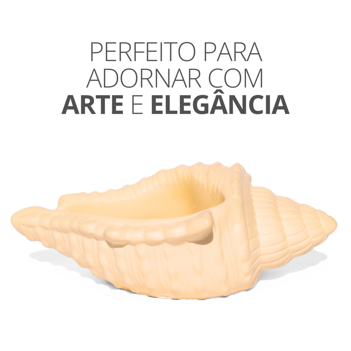 Porta Objetos Concha Oceano Grande Artesanal 17x11,5cm Em Resina Mineral