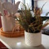 Foto real de cliente: Arranjo de Flores Secas em Vaso de Cimento | Aleta Decoração