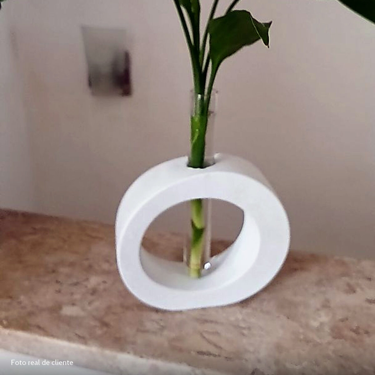 Foto real de cliente: Arranjo de Flores Secas em Vaso de Cimento Redondo Solitário