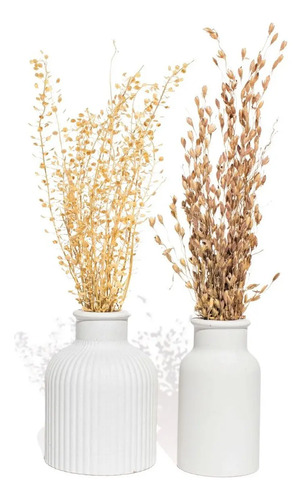 Vaso Decorativo de Cimento com Flor Seca — Conjunto 2 Peças