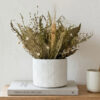 D_637332-MLB111945891669_052026-O.jpg Arranjo de Flores Secas com Vaso Amazonas em Cimento