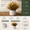 D_642821-MLB111940842771_052026-O.jpg Arranjo de Flores Secas com Vaso Amazonas em Cimento