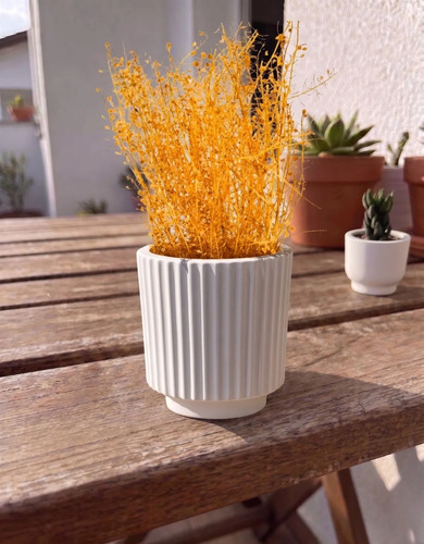 Vaso Decorativo de Cimento Branco Formato Garrafa Grécia