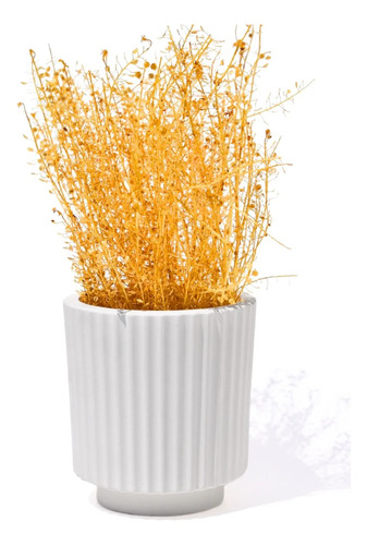 Vaso Decorativo de Cimento Branco Formato Garrafa Grécia