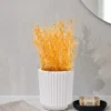 Vaso Decorativo de Cimento Branco Formato Garrafa Grécia