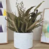 Arranjo de Flores Secas em Vaso de Cimento — Decoração Boho