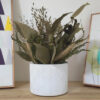D_787995-MLB90738302995_082025-O.jpg Arranjo de Flores Secas com Vaso Amazonas em Cimento