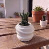 D_895764-MLB110954583647_042026-O.jpg Conjunto Decorativo Pensadora com Vaso e Bandeja em Cimento Branco