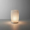Abajur Aura Translúcido com Lâmpada LED Inclusa