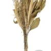 D_976721-MLB89668633306_082025-O.webp Arranjo de Flores Secas em Vaso de Cimento Coração Aleta