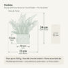 Medidas — Arranjo de Flores Secas em Vaso Estados de Cimento Branco