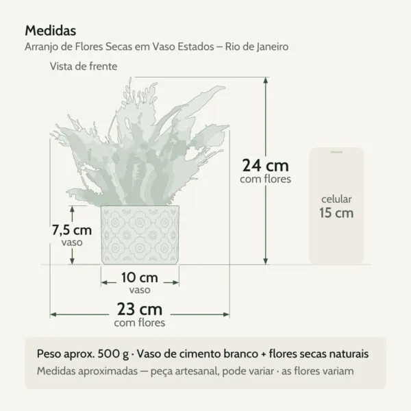 Medidas — Arranjo de Flores Secas em Vaso Estados de Cimento Branco
