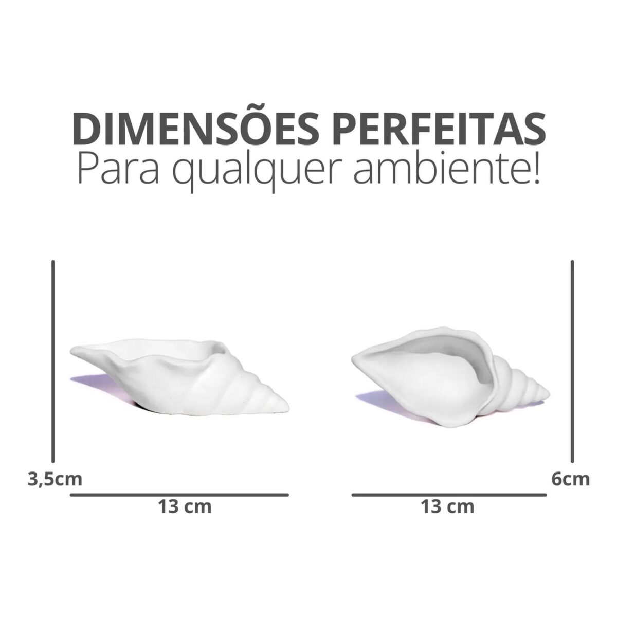 Porta Objetos Concha em Cimento Branco Egípcio
