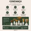 Conjunto Oásis 7 Peças: Vasos com Arranjos de Flores Secas