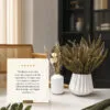 D_868175-MLB113260448005_062026-O Buquê de Flores Secas com Vaso de Cimento Branco